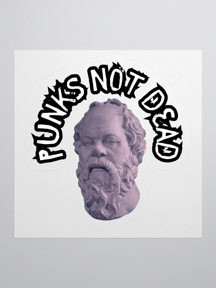 PUNKS NOT DEAD product image (2)