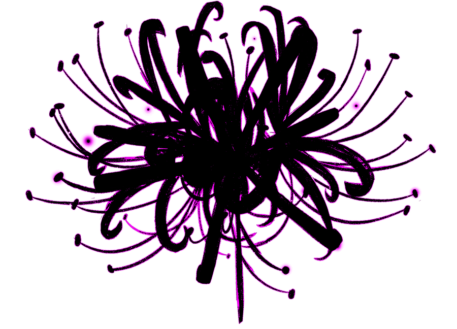 SPIDER LILY - PINK product image (4)