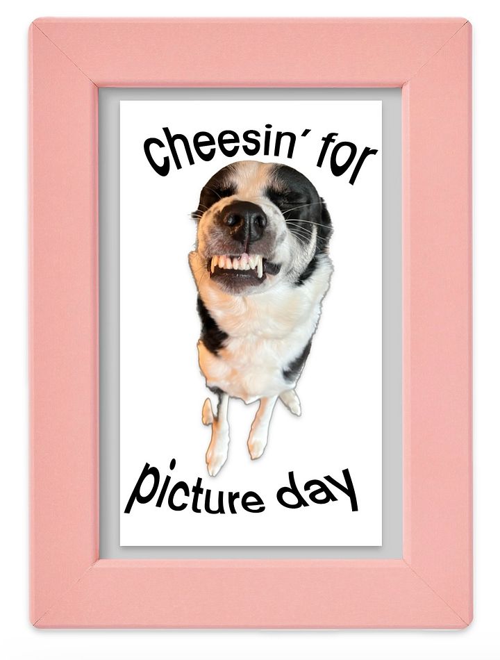 Rhain Cheesin Sticker product image (1)