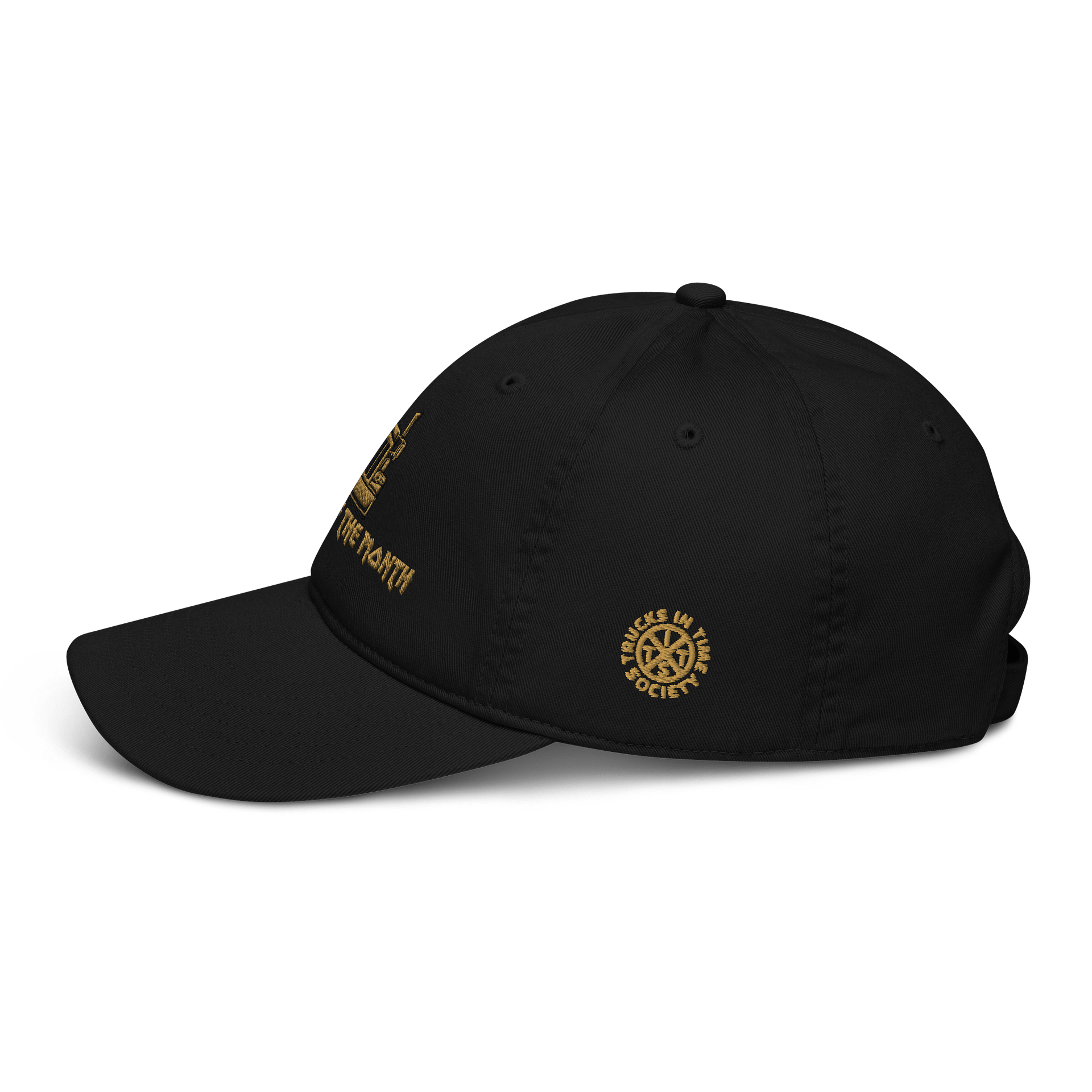 TITS TOTM Dad Hat product image (4)