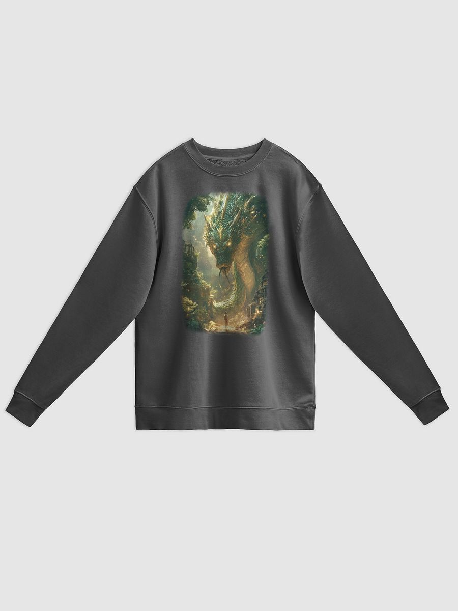 Mystical Dragon Encounter Sweatshirt product image (3)