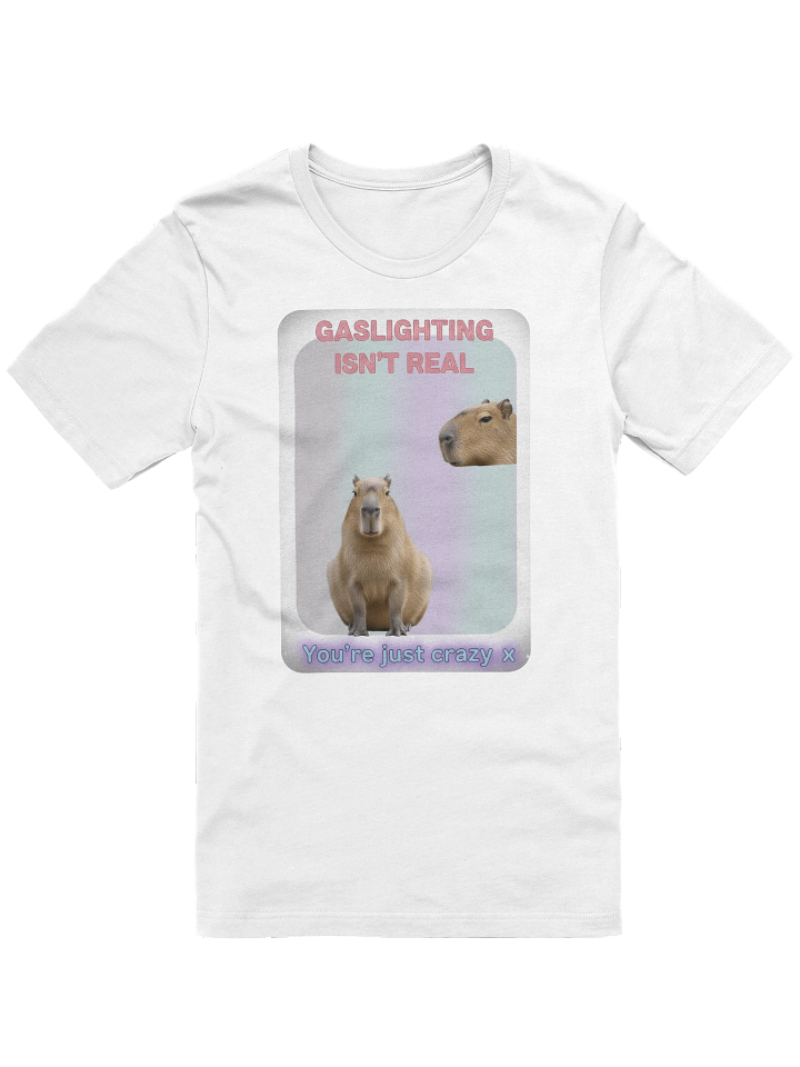 GASLIGHTING ISNT REAL product image (1)