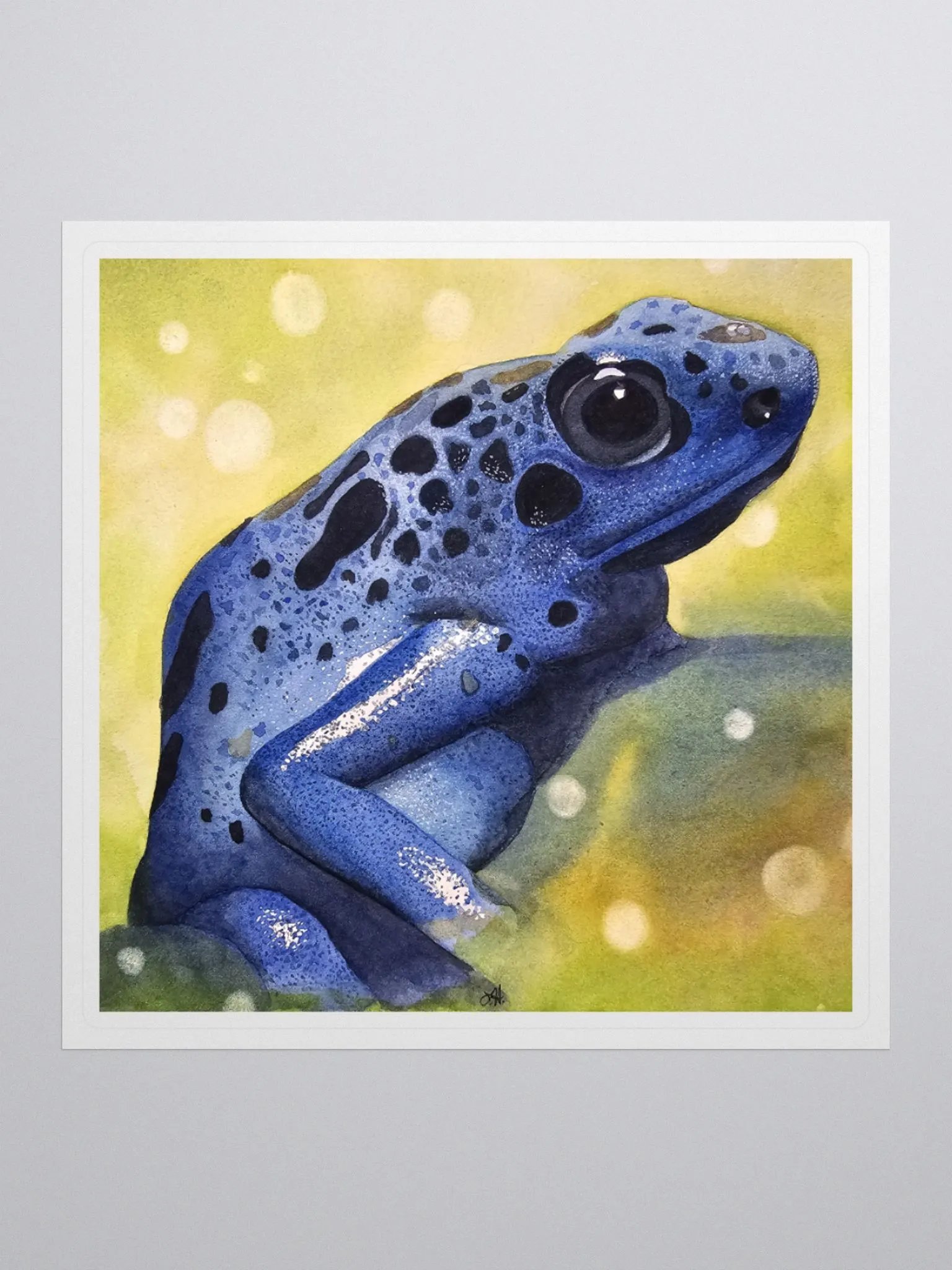 Randolf - Poison dart frog - sticker product image (2)