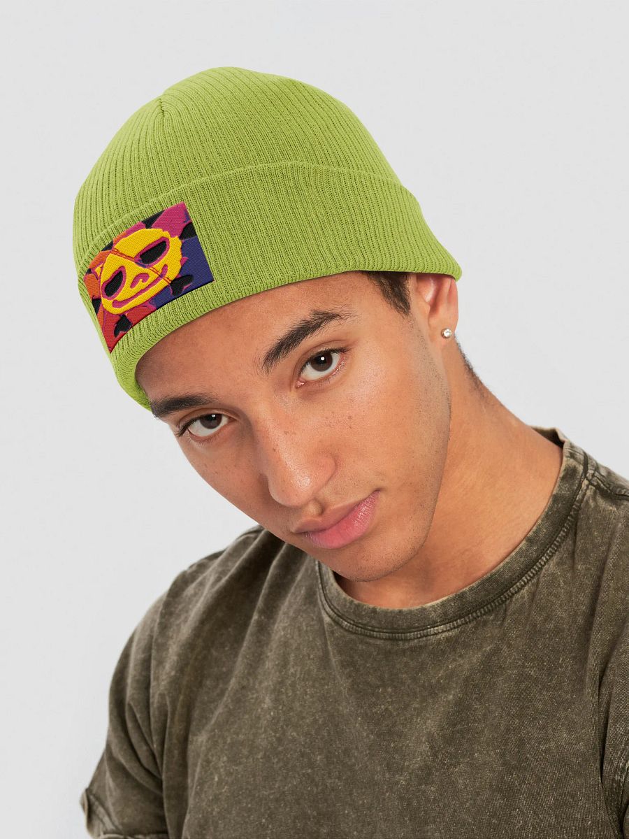 Stereoboy Organic Beanie product image (22)