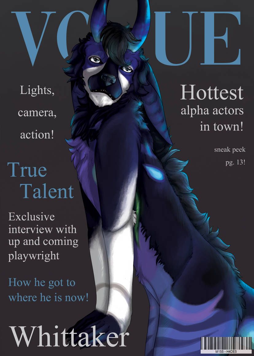 Magazine Cover Commission product image (3)
