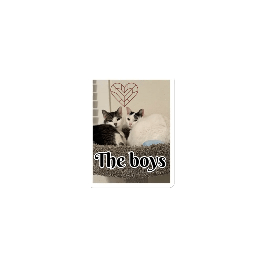 The boys magnet product image (1)