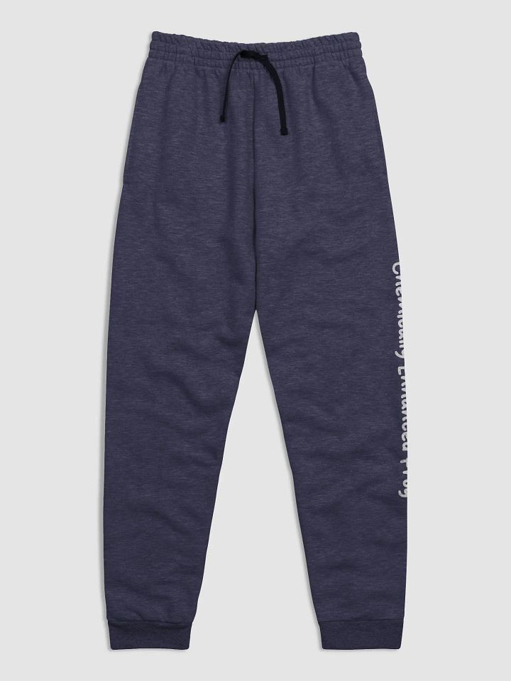 Phrogie Pride Joggers product image (1)