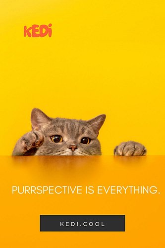 Unique Cat-Themed Activewear for Yoga and Everyday Life

Step into comfort and style with our unique cat-themed activewear de...