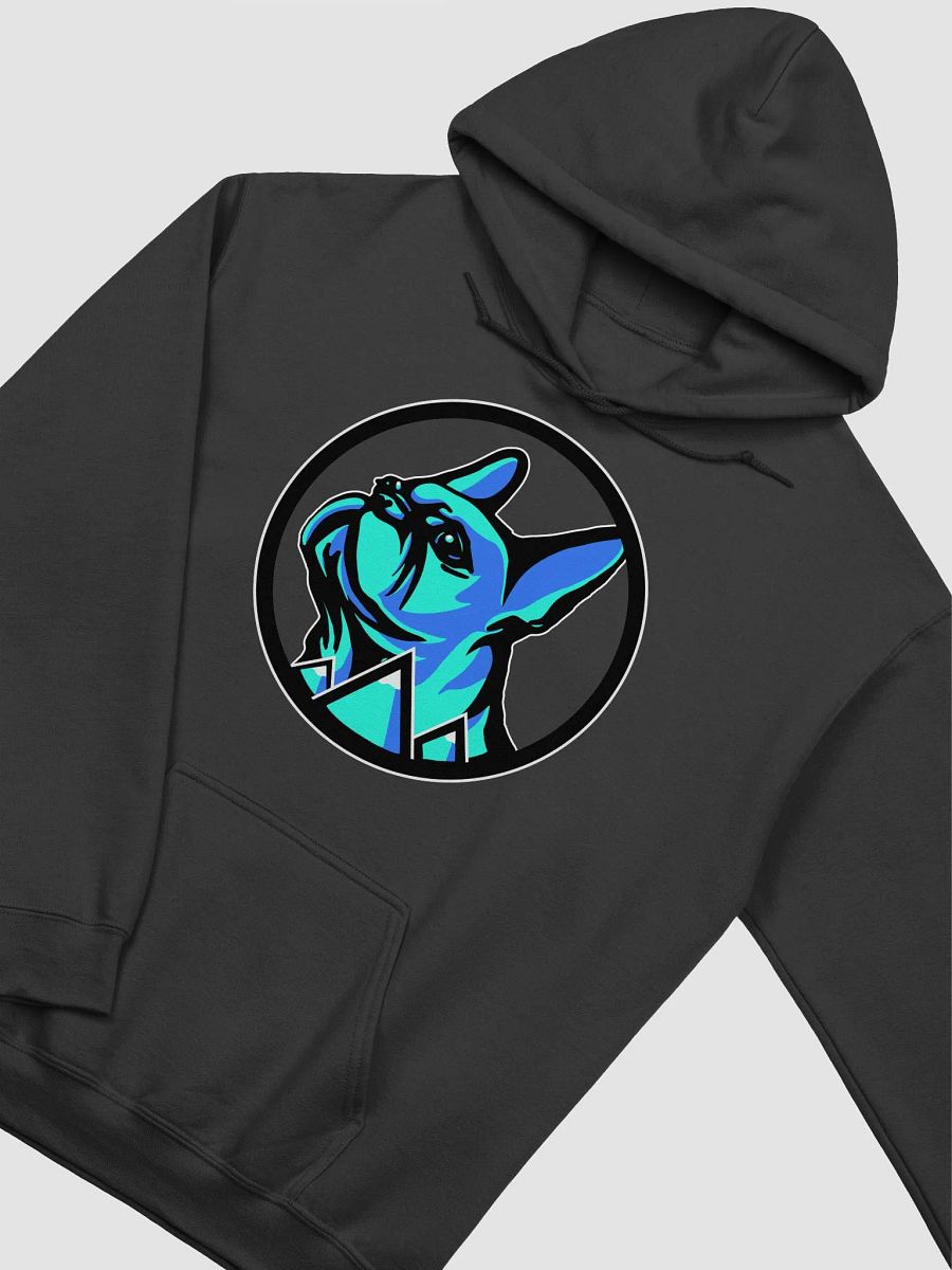 BLUE RIDGE FRENCHIE LOGO HOODIE product image (24)
