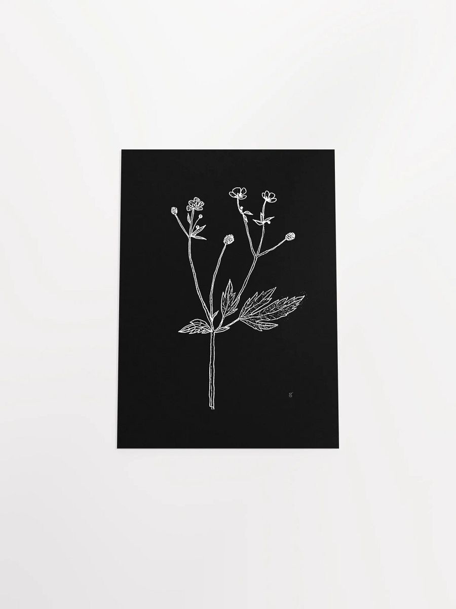 Botanical Bliss Matte Poster - Wild Flowers Dark Stylish product image (4)