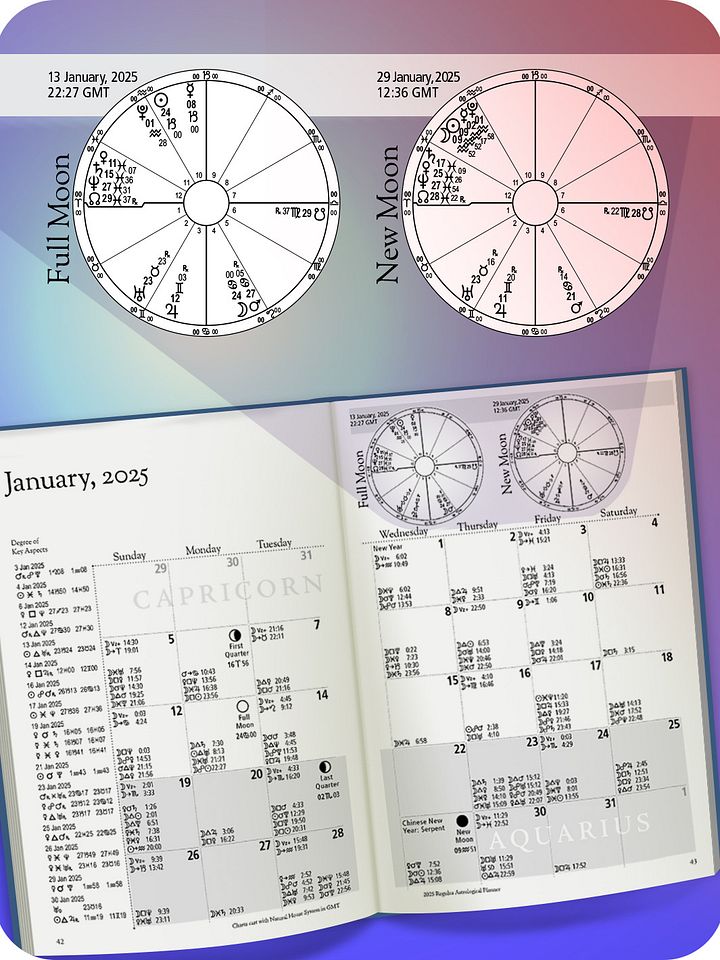 Regulus 2025 Astrological Planner (USA Customers) product image (2)