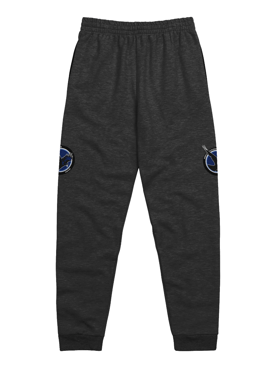 NIGHT RAVEN JOGGERS product image (5)