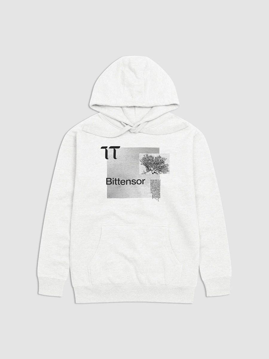Bittensor Neural Network Hoodie product image (2)