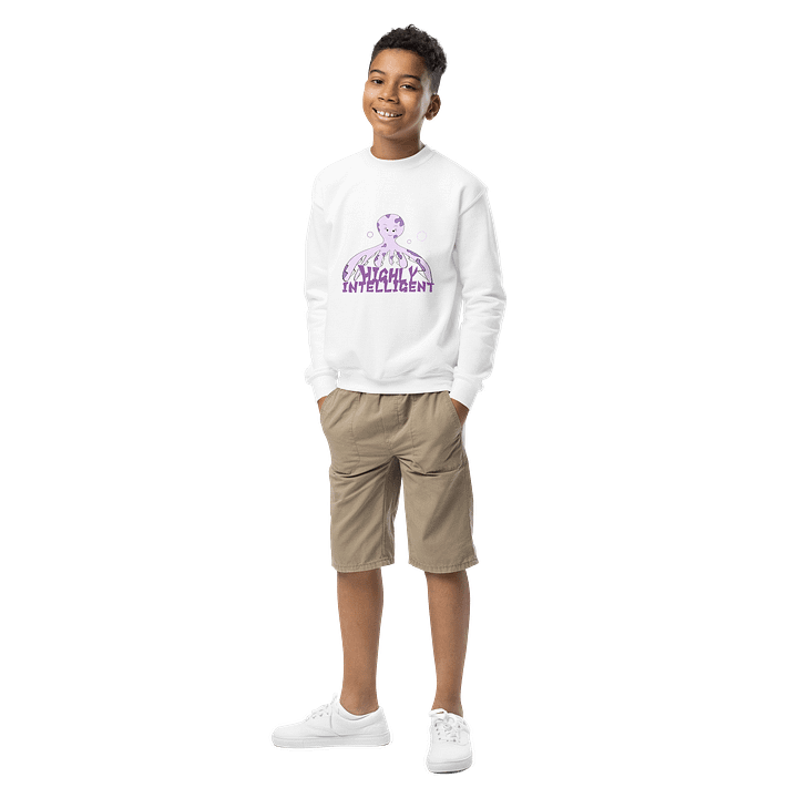 Highly Intelligent Octo-Kid Sweatshirt product image (8)