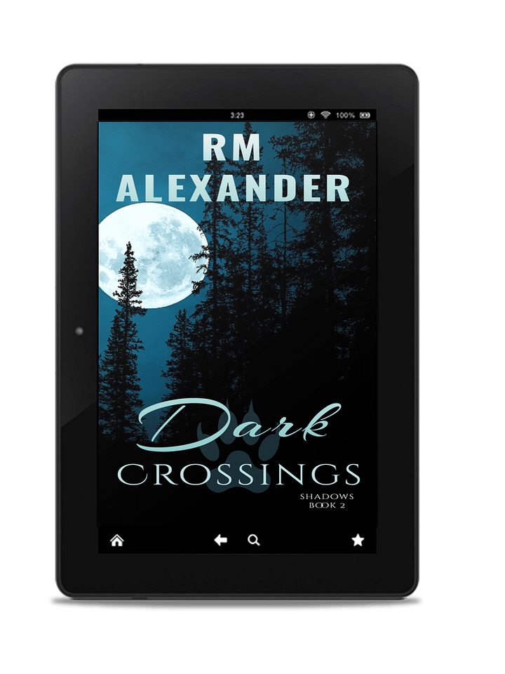 Dark Crossings (Shadows Book 2) product image (1)