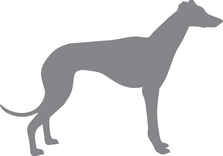 Manequim Galgo - Modelagem Pet PDF product image (1)