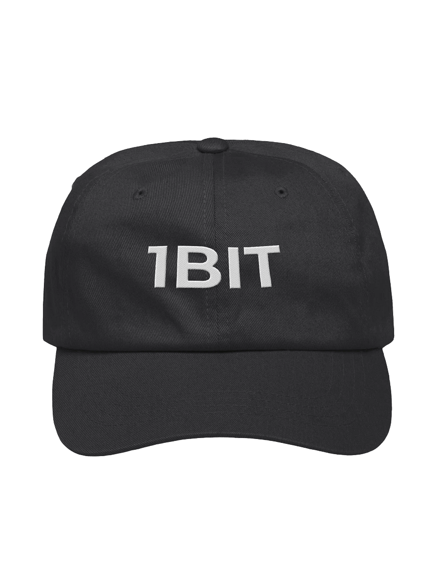 Classic 1BIT Hat product image (2)