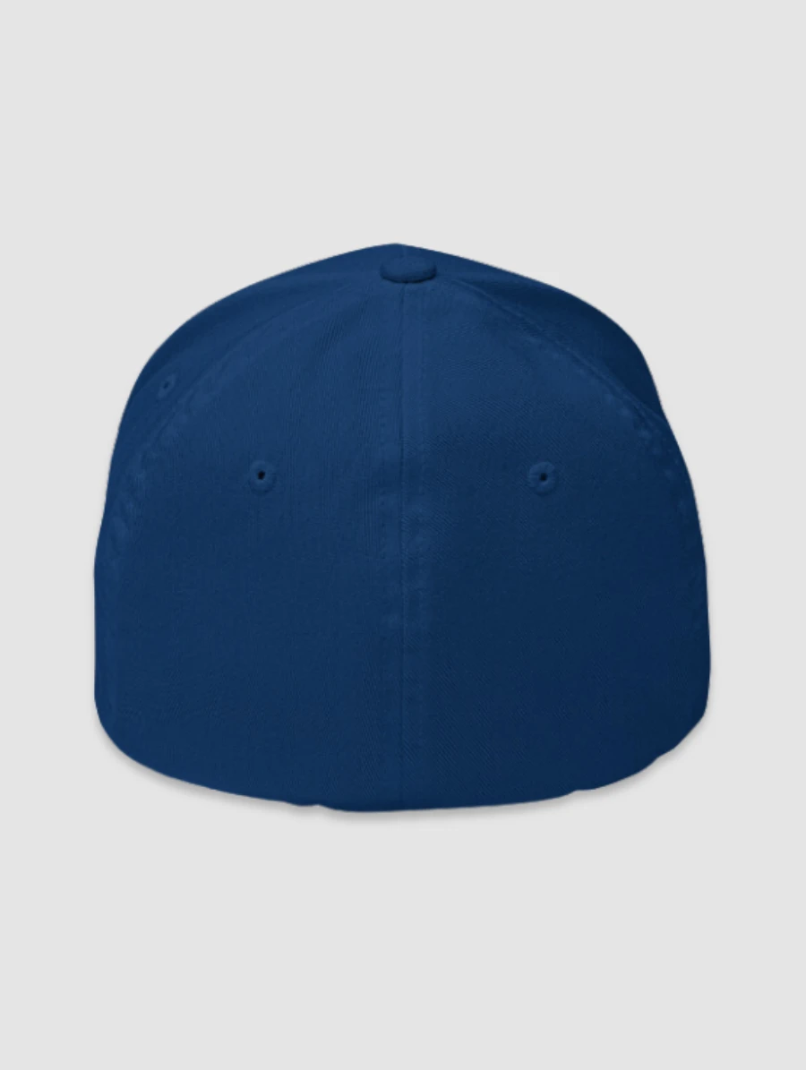 SS'23 Fitted Cap - Royal Blue product image (2)
