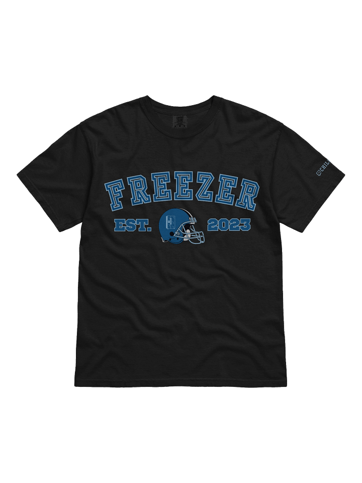 Freezer Vintage Sports Comfort Colors Tee product image (1)