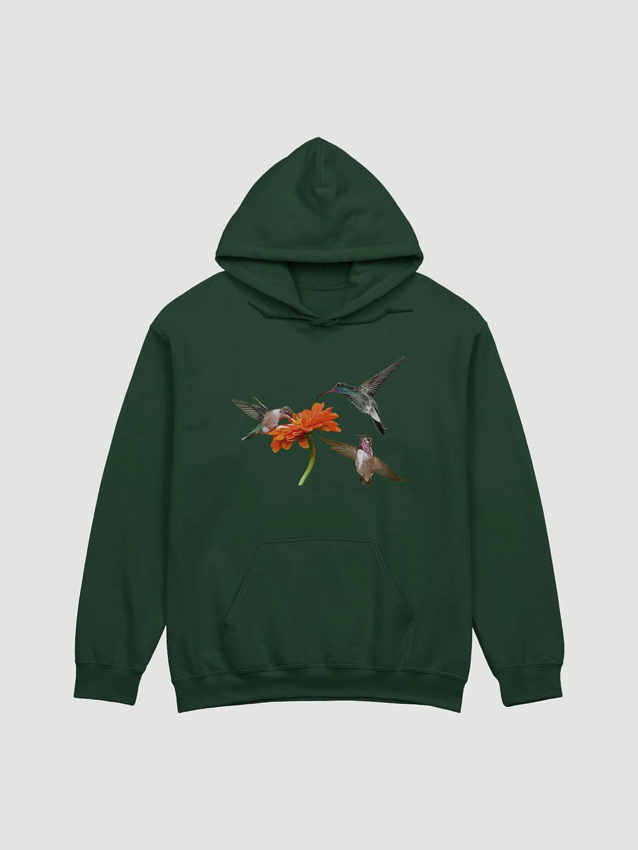 Hummingbirds Hoodie product image (1)