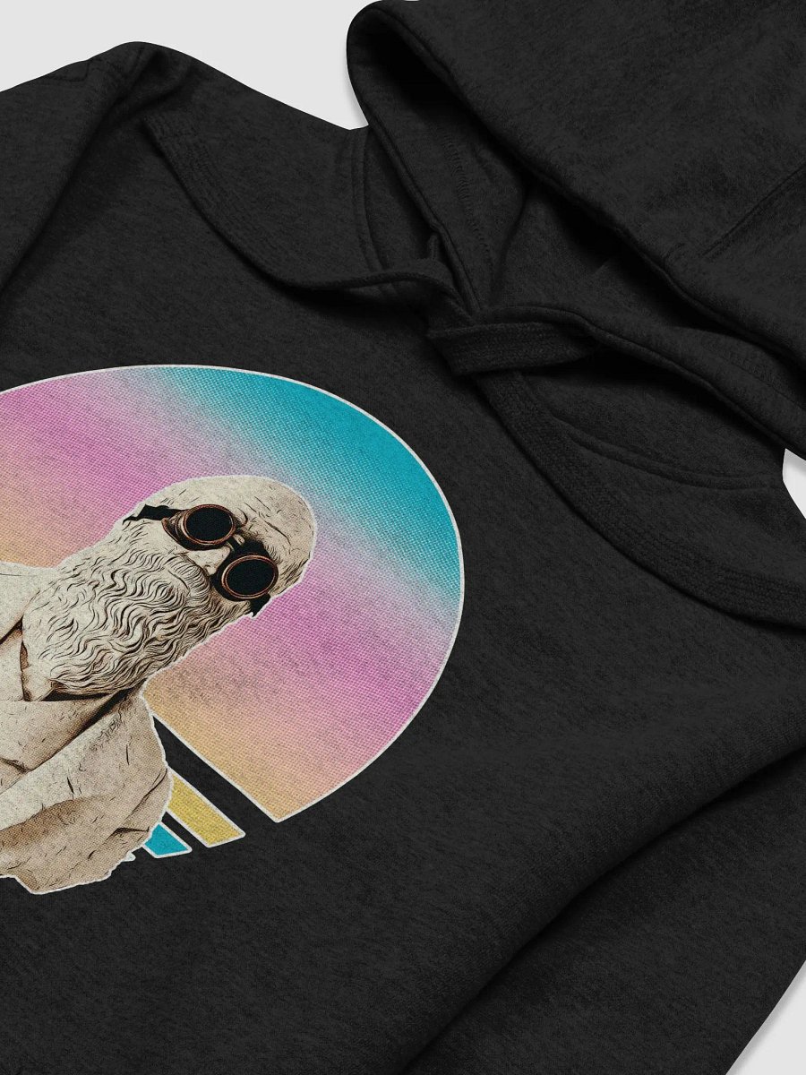 Darwinism Hoodie product image (3)