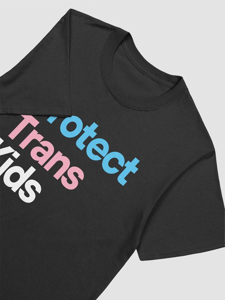 Protect Trans Kids - For the 491 product image (3)