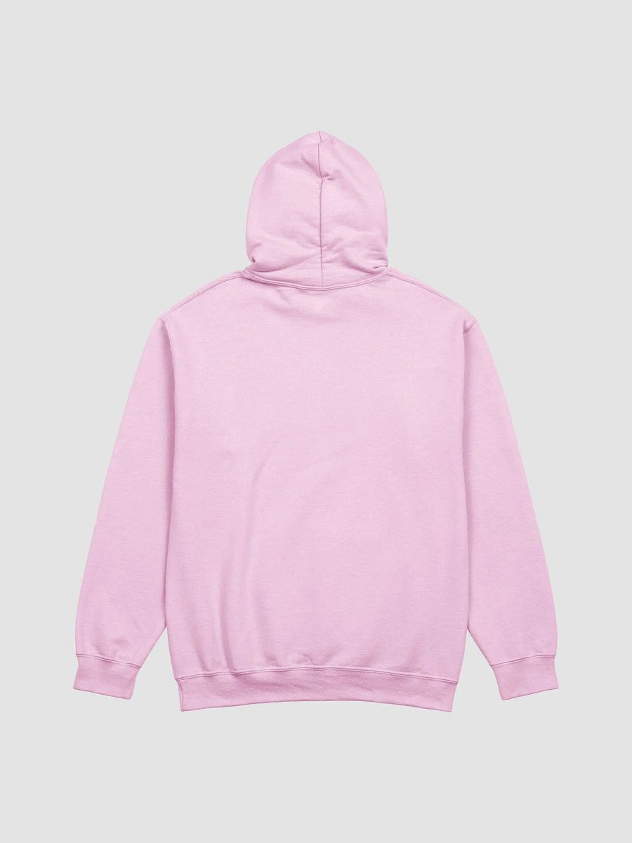 DJ TanTrum Hoodie (Unisex) product image (3)