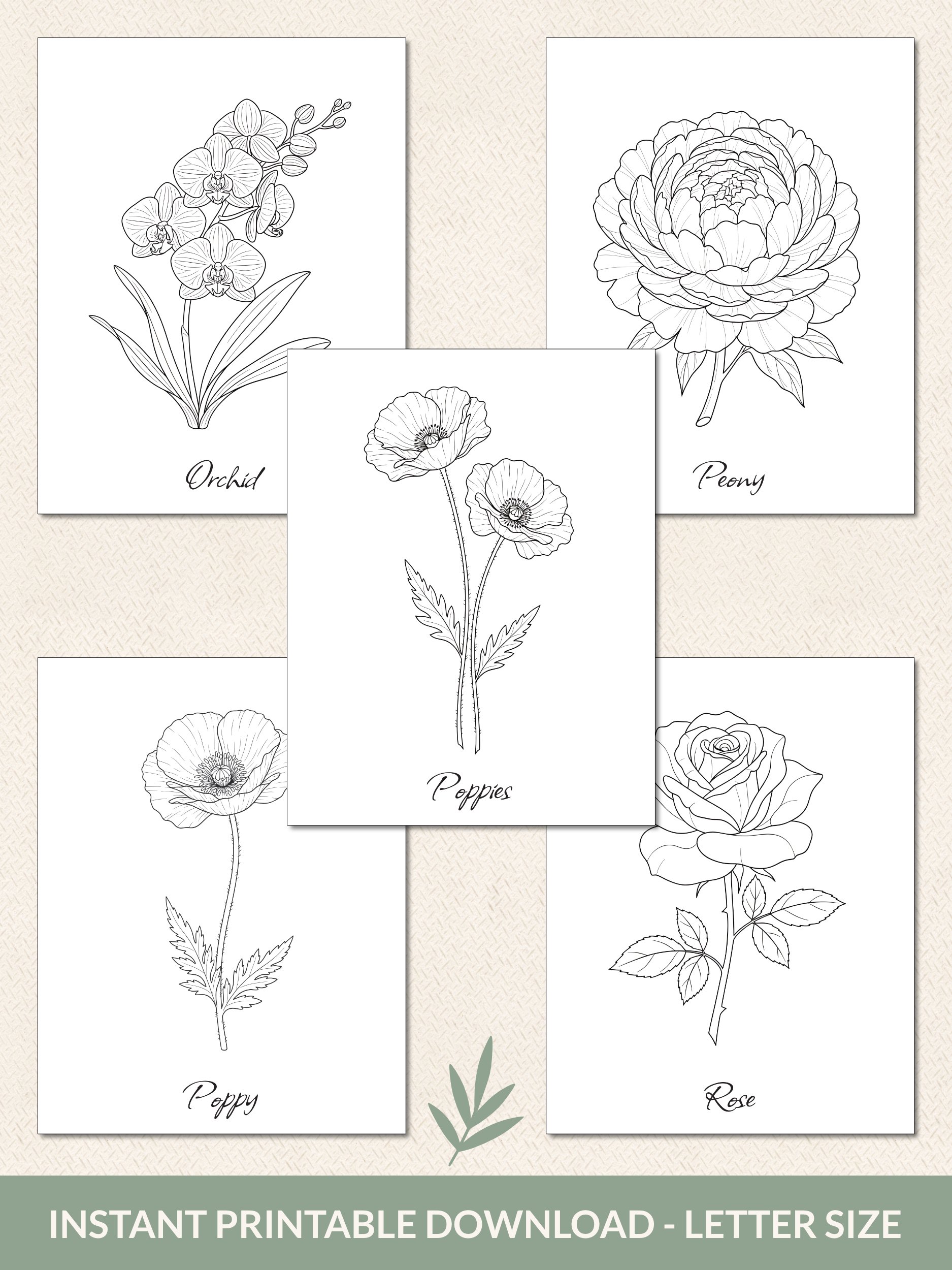 Flower Coloring Pages – Printable Set of 30 product image (6)