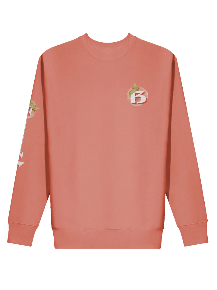 Breach Alpharetta Peach Crewneck (Peachy) product image (2)