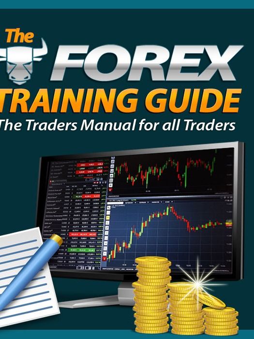 The Forex Training Guide product image (2)