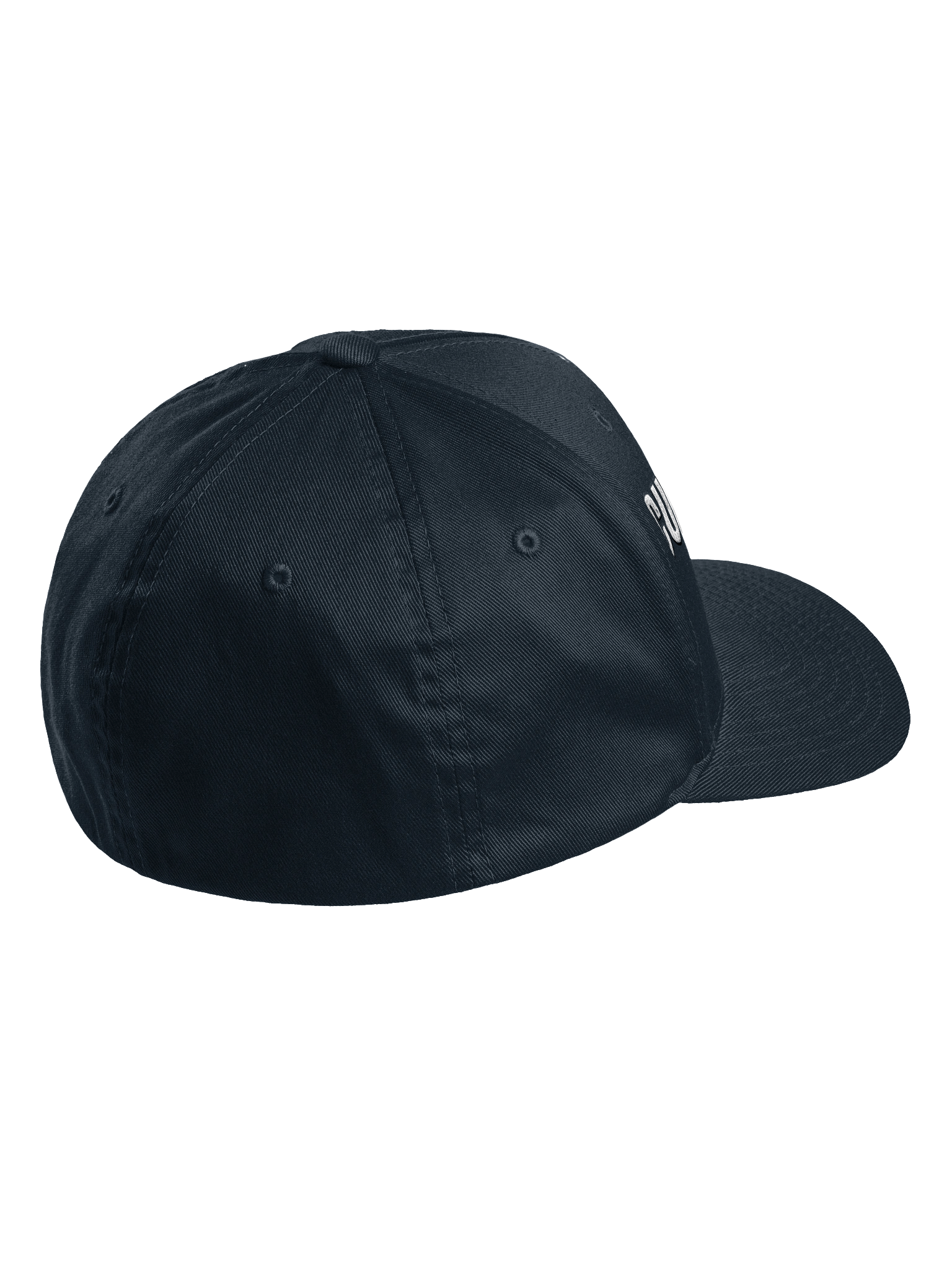 Cursed With Girth Fitted Hat product image (22)