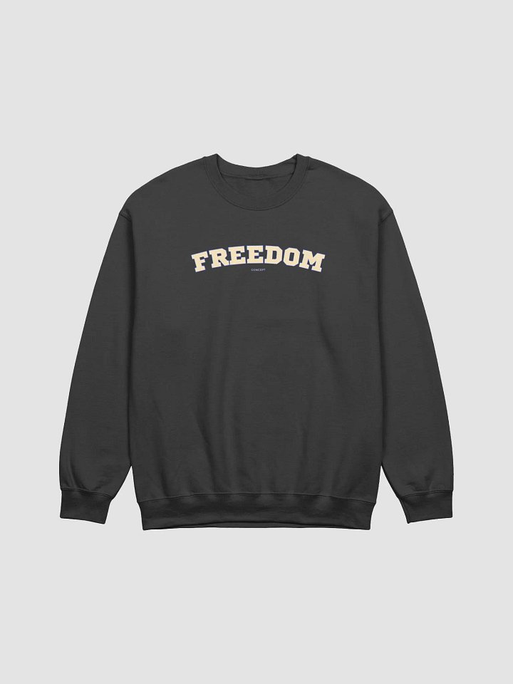 C-FOGRA39 (BLACK) FREEDOM CREWNECK product image (1)