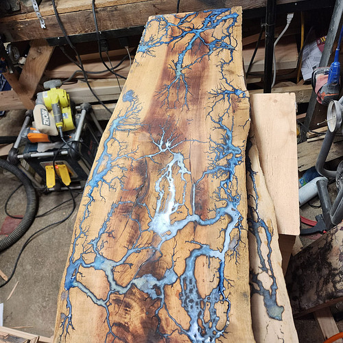 Anyone have a clue what kind of tree this board came from 🤔 I don't know