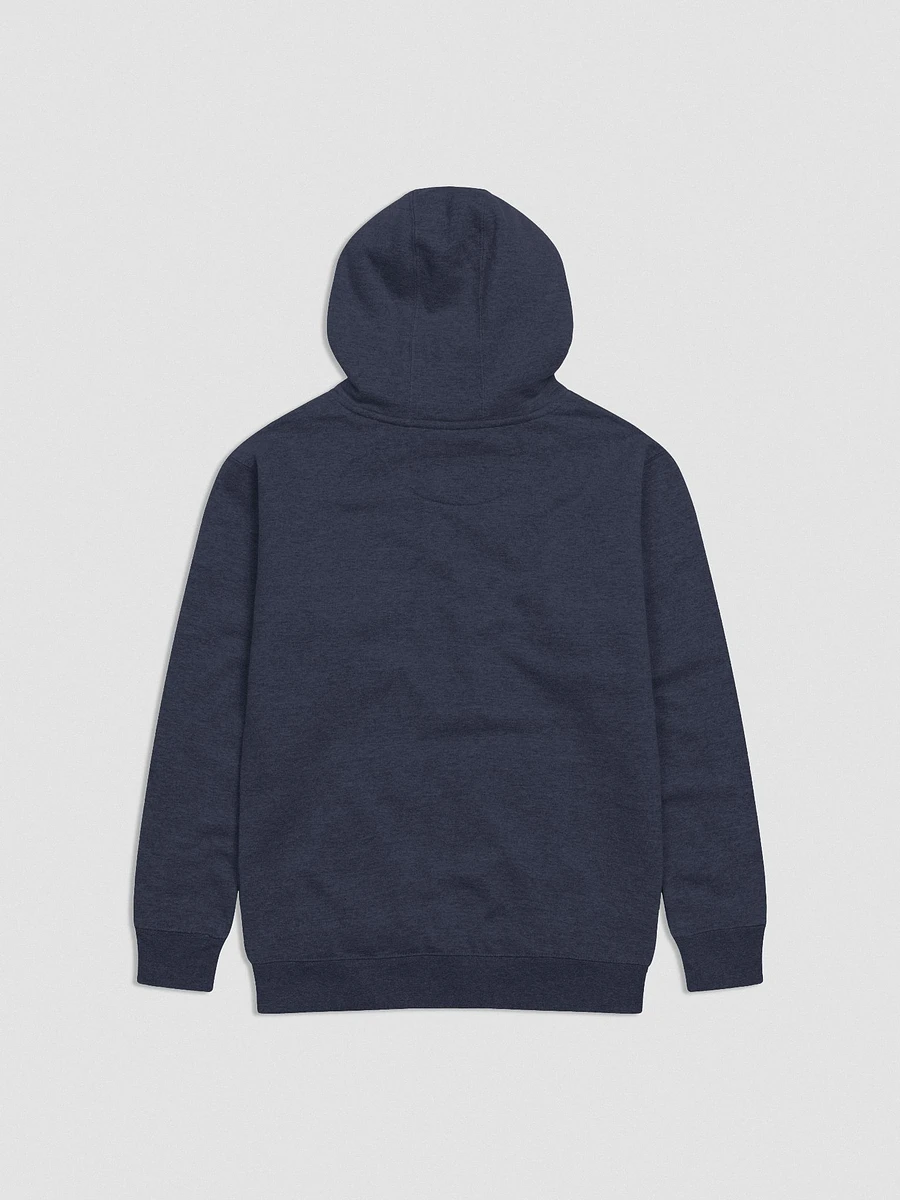 Fail University Hoodie (Embroidered) product image (12)