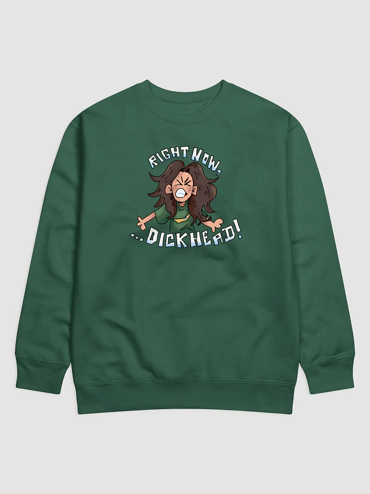 RS02: RIGHT NOW D*CKHEAD SWEATSHIRT product image (5)