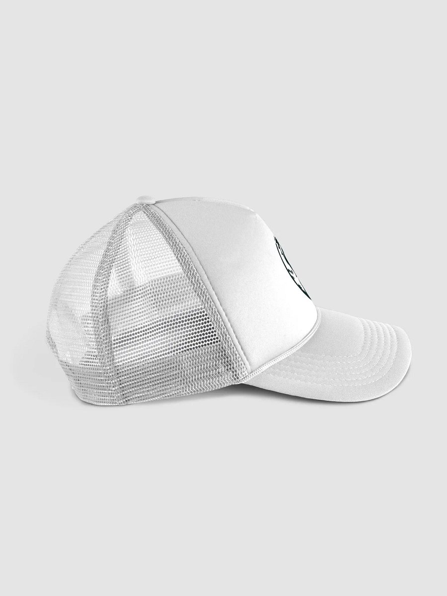 Llion product image (3)