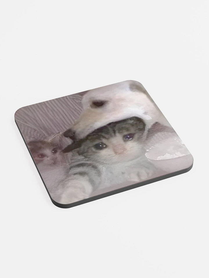 Glossed Cork Coaster: Meme Cats product image (2)