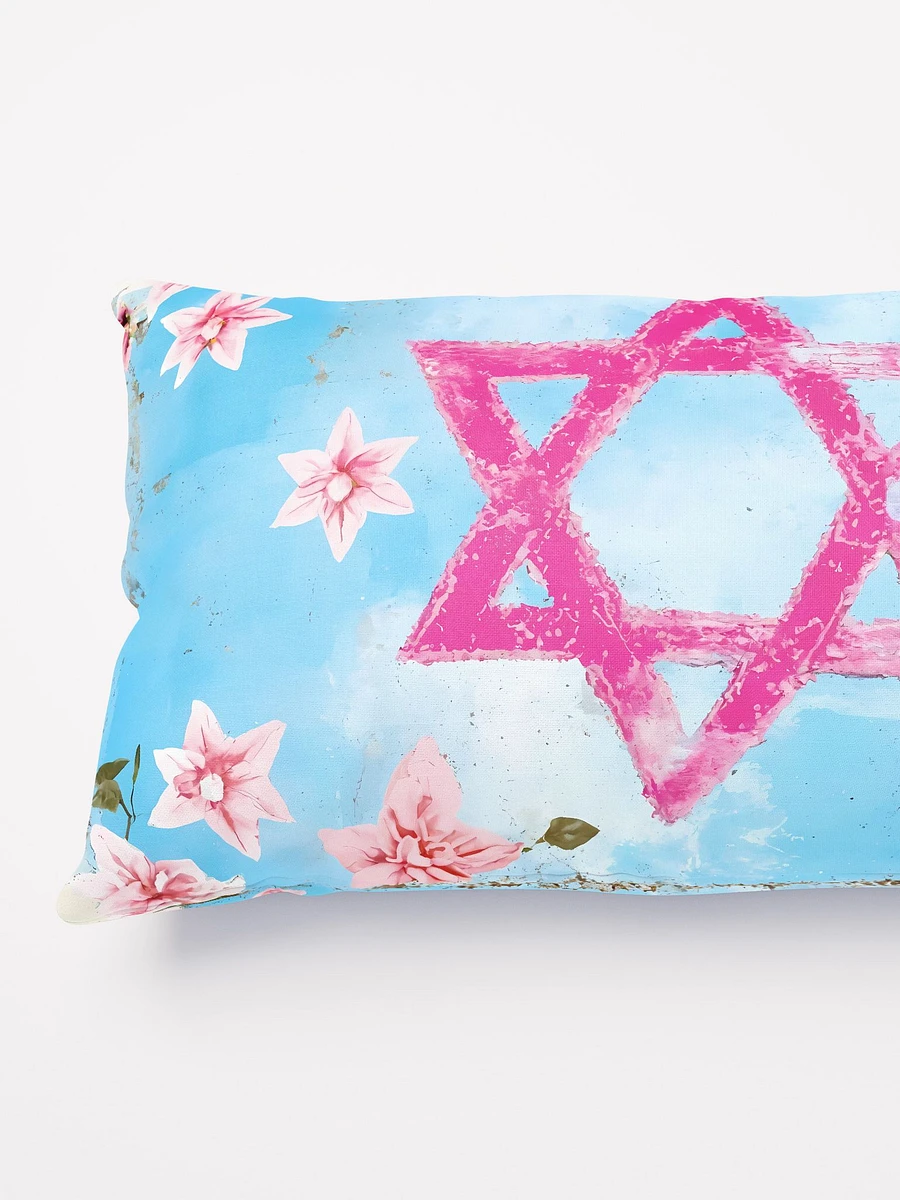 Pink Star of David Pillow with Floral Shabby Chic product image (4)