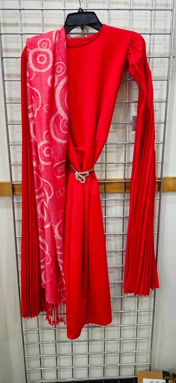 Medium Red Pleated Sleeve Dress product image (1)