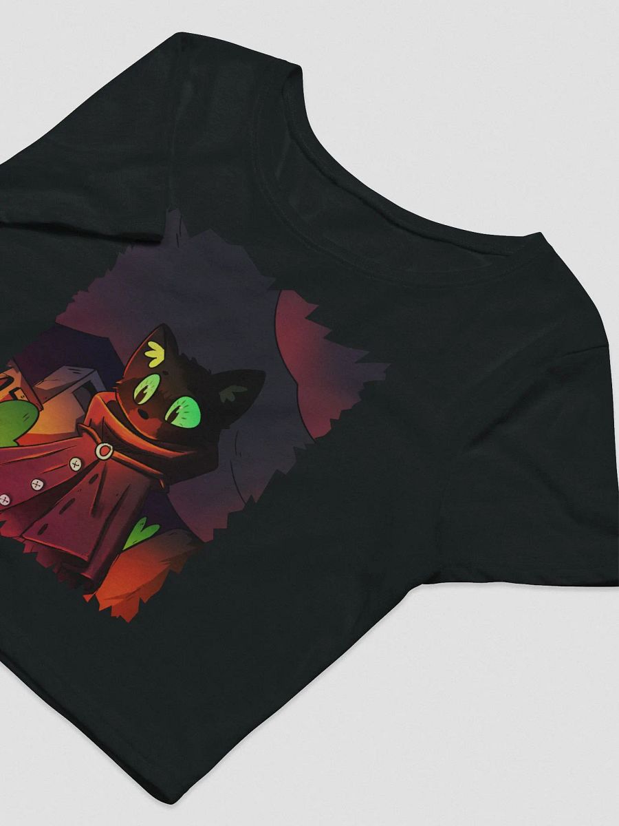 Into the Fire product image (3)