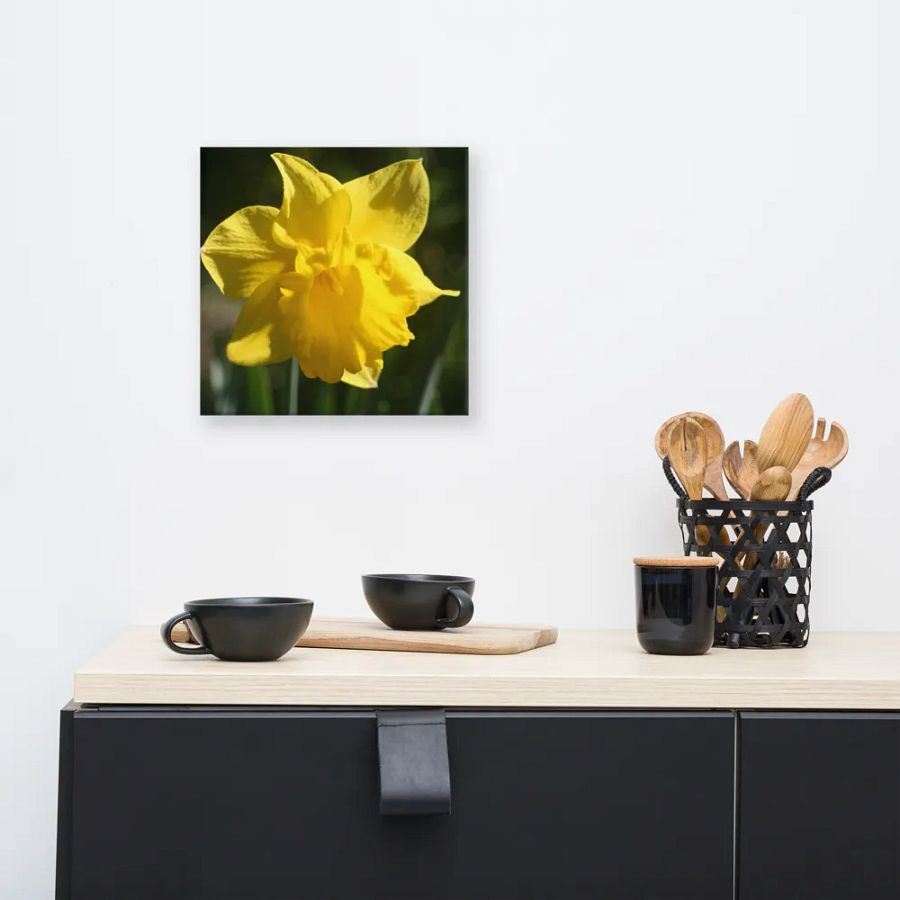Daffodil product image (8)
