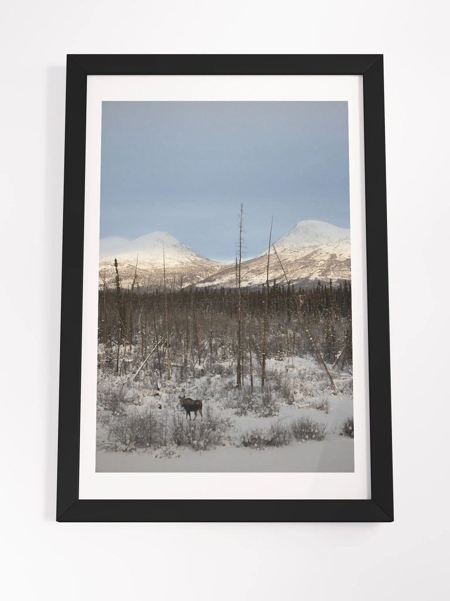 Moose and Mountains product image (4)