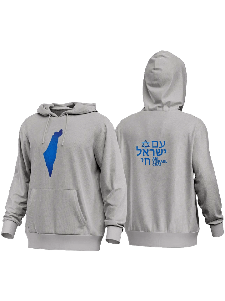 AM YISRAEL CHAI Premium Hoodie product image (22)