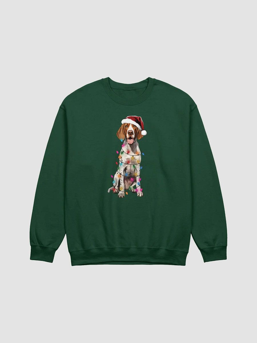 Funny Redtick Coonhound(2) Christmas Sweatshirt for Coonhound Paw-rents product image (8)