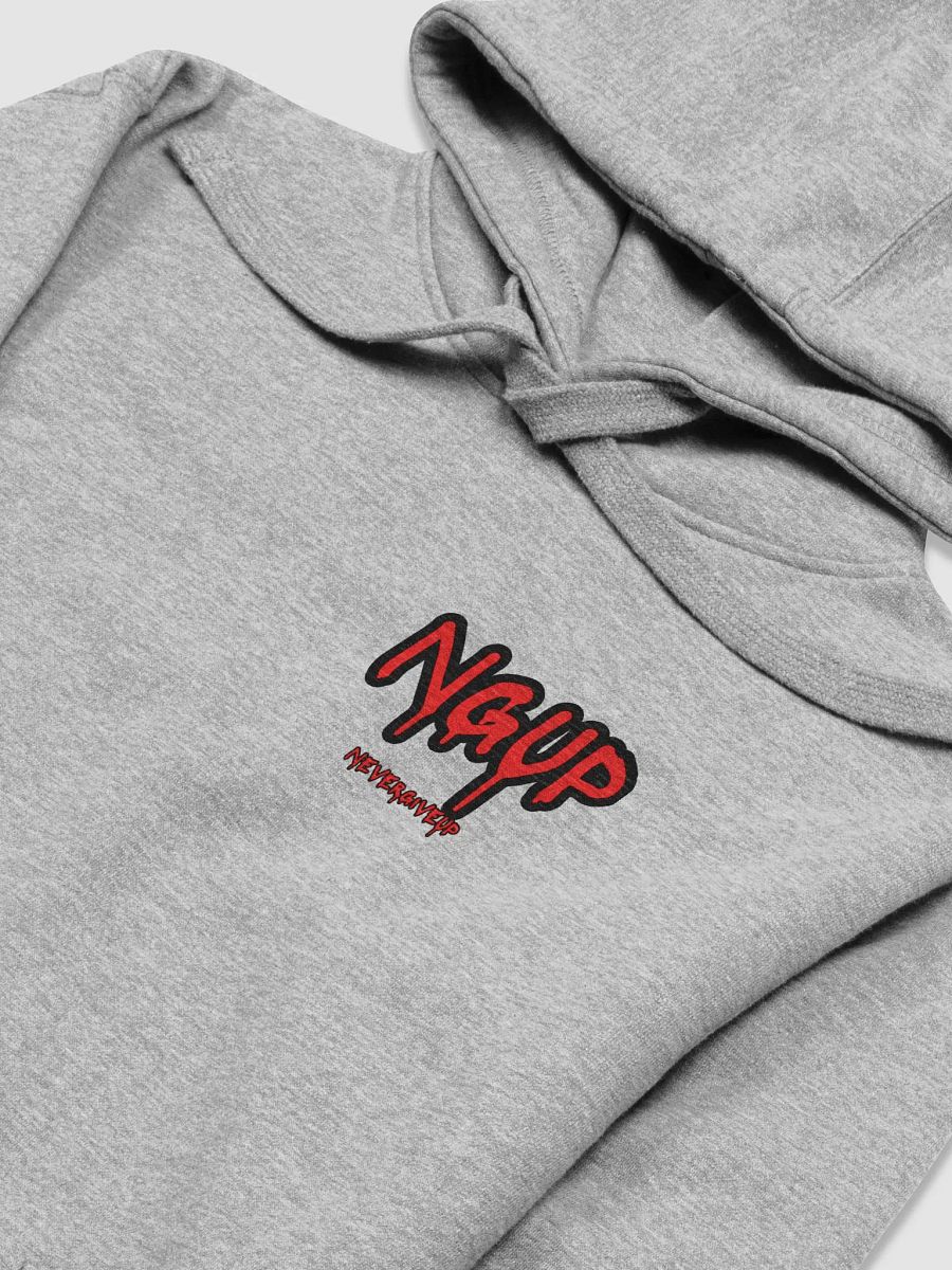 NGUP Distressed Premium Hoodie product image (9)