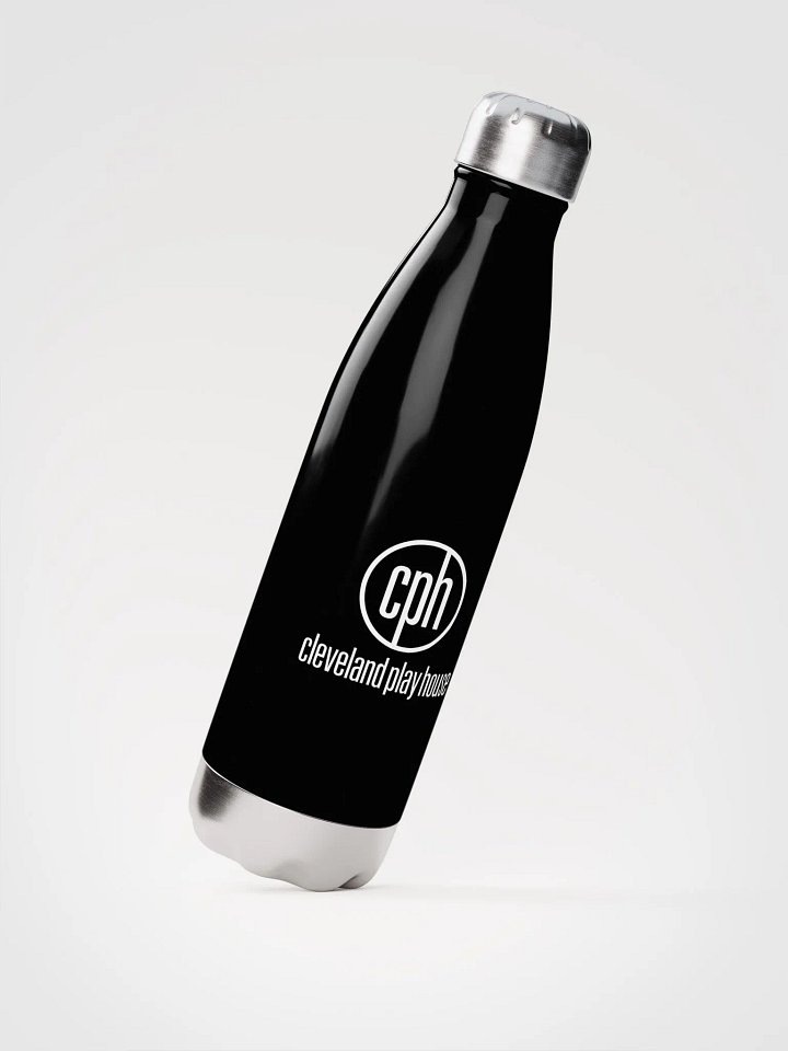 Stainless Steel Water Bottle product image (2)
