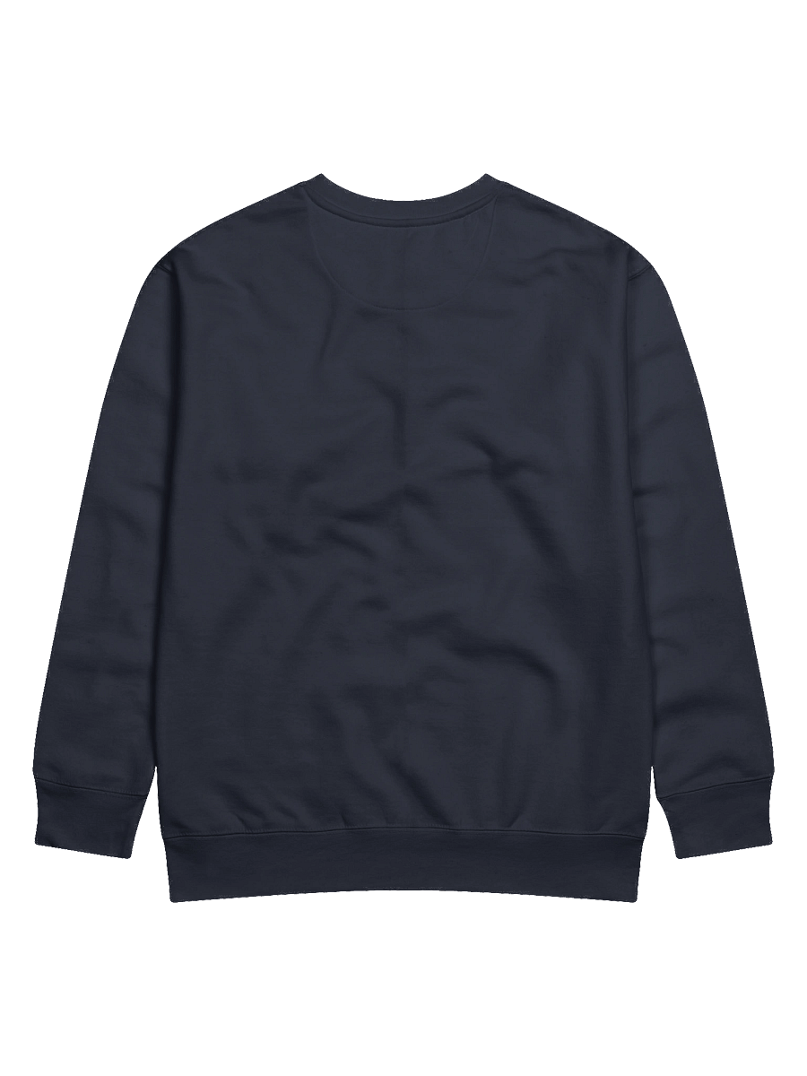 Streamer Definition Sweatshirt product image (4)