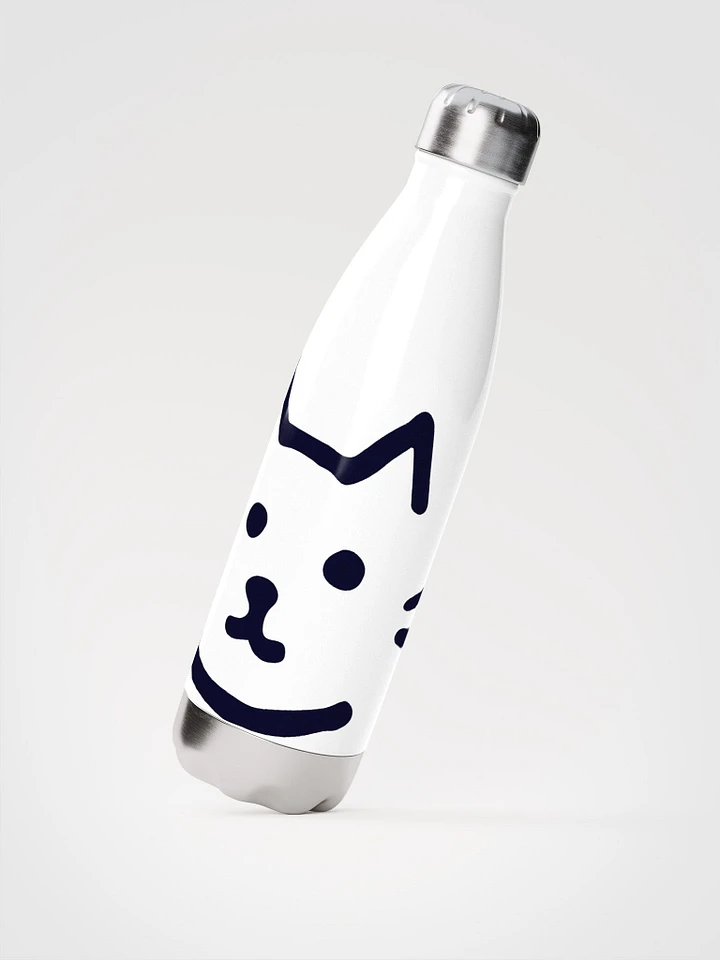 Stainless Steel Water Bottle product image (2)