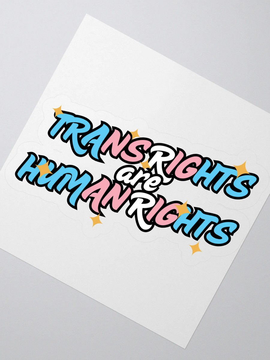 TRANS RIGHTS ARE HUMAN RIGHTS Sticker product image (6)