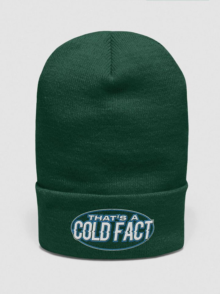 "THAT'S A COLD FACT" Beanie product image (9)